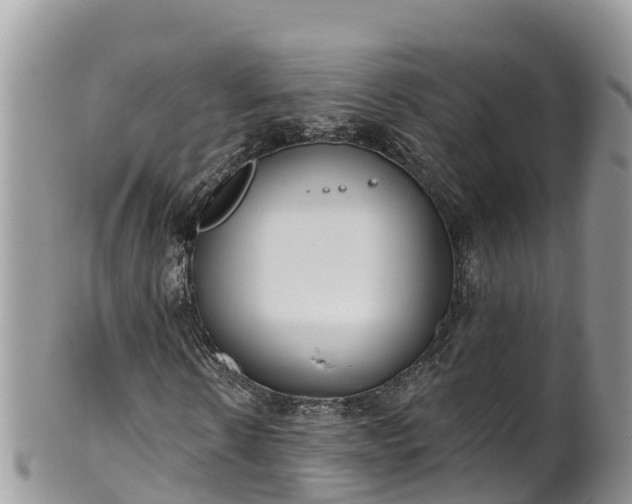 X0000102290914200808011509