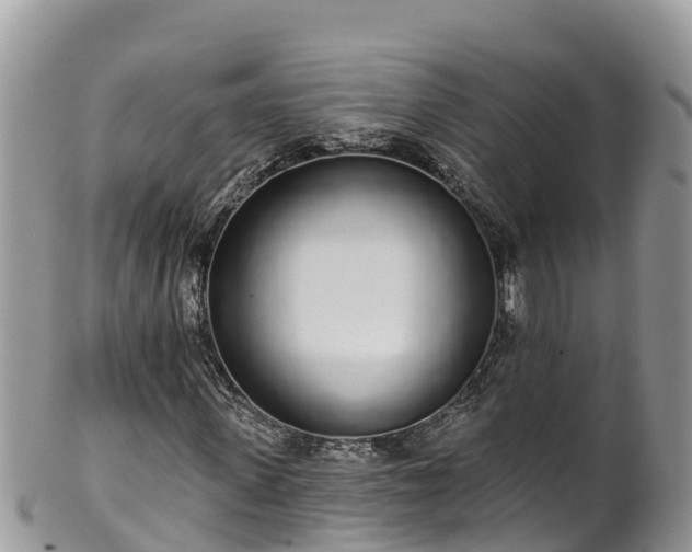 X0000102290915200808011509