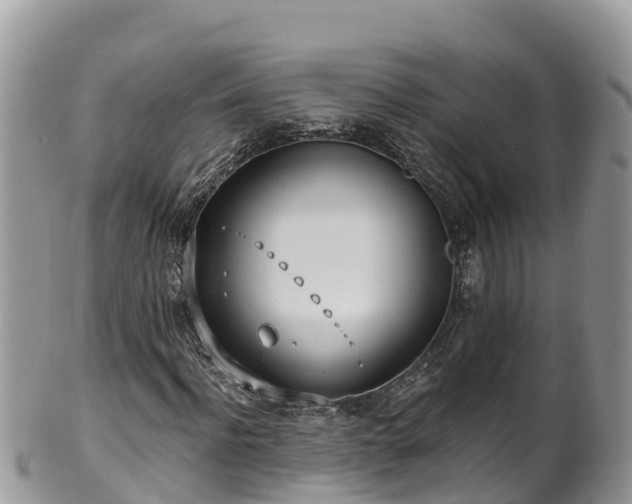 X0000102290916200808011509