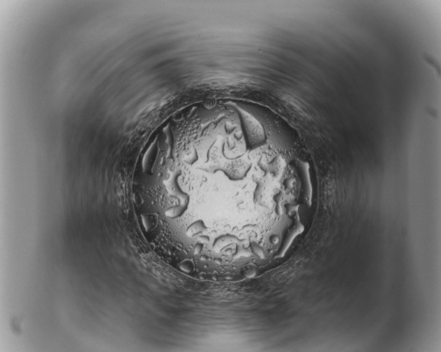 X0000102290917200808011509