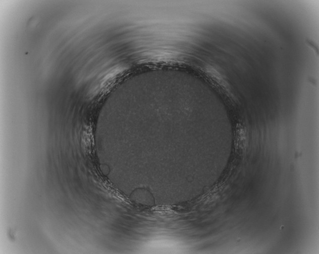 X0000102290918200808011509