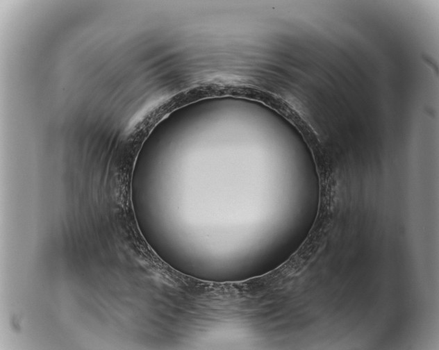 X0000102290919200808011509