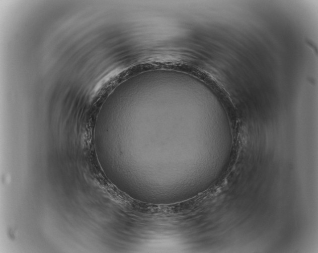 X0000102290920200808011509