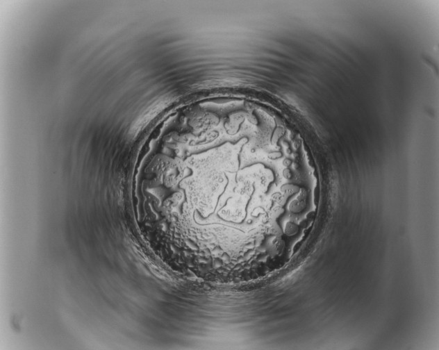 X0000102290921200808011509