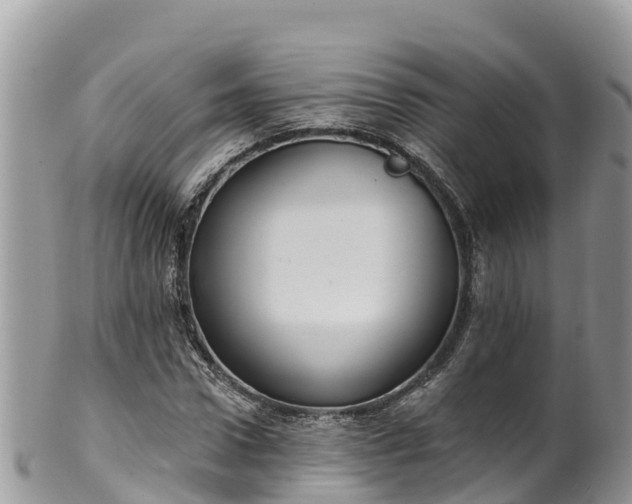 X0000102290922200808011509