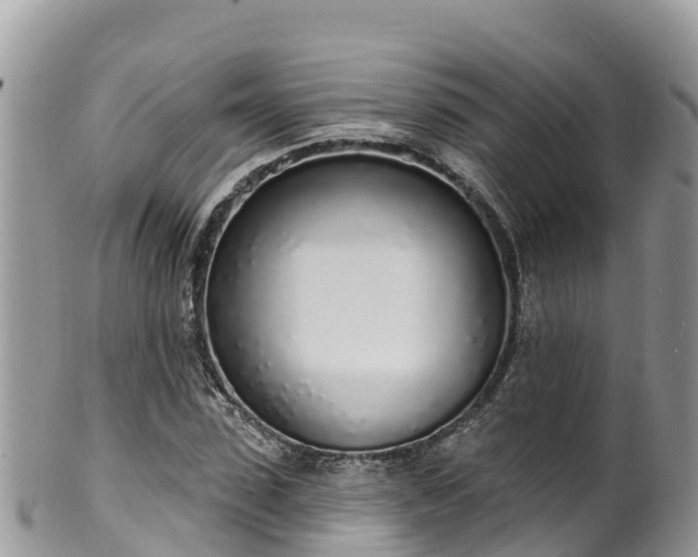 X0000102290923200808011509