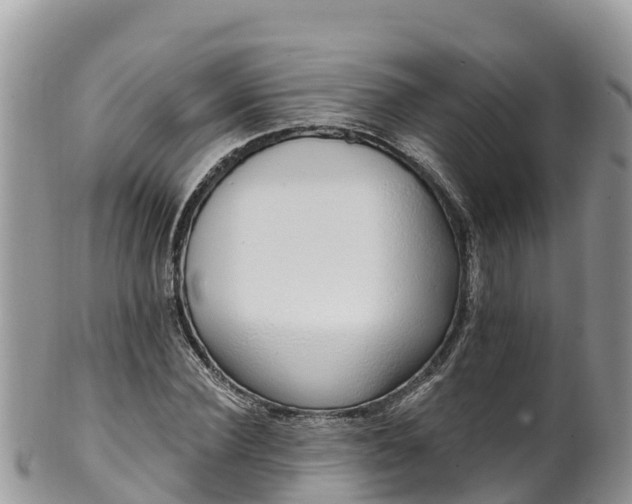 X0000102290924200808011509