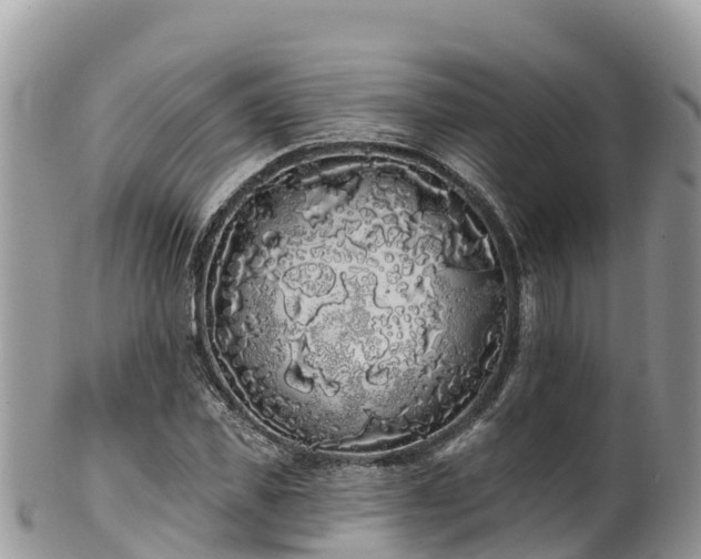 X0000102290925200808011509