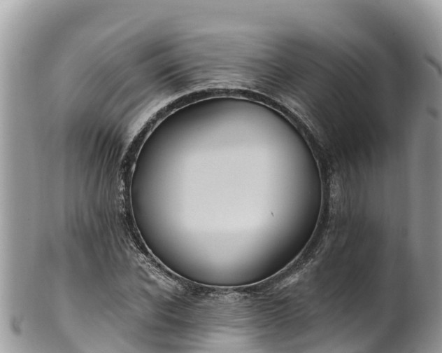 X0000102290926200808011509