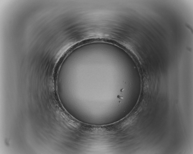 X0000102290927200808011509