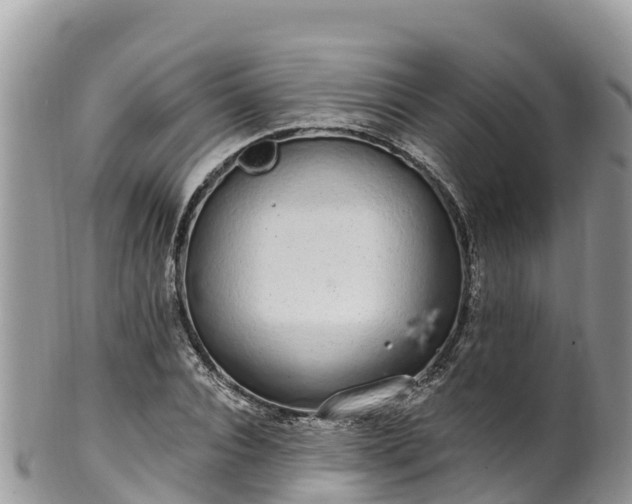 X0000102290928200808011509