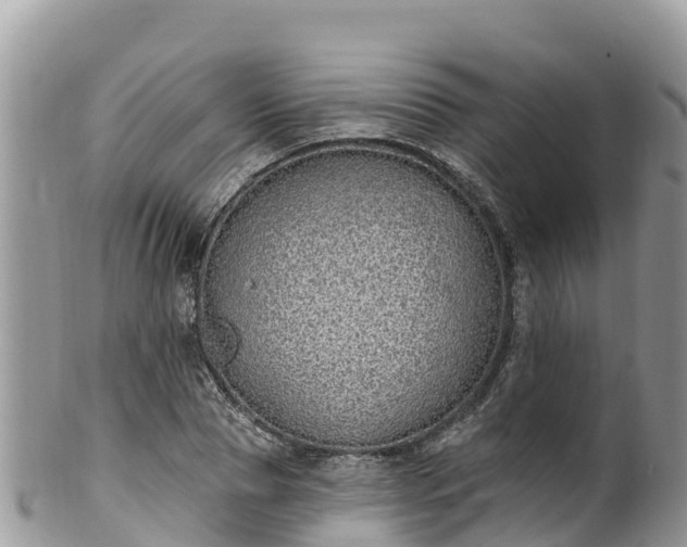 X0000102290929200808011509