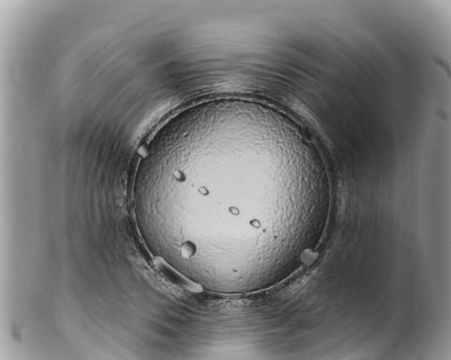 X0000102290930200808011509