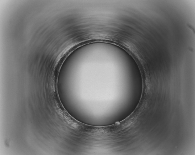 X0000102290931200808011510