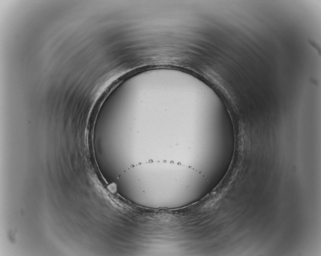 X0000102290932200808011510