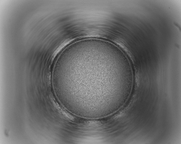 X0000102290933200808011510