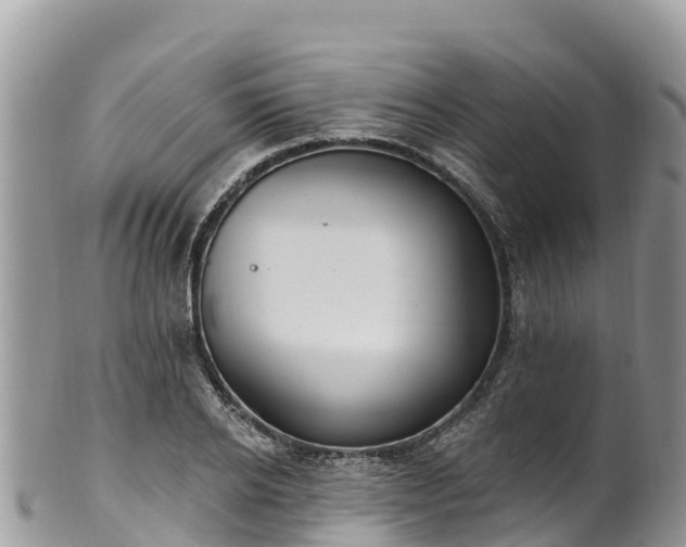 X0000102290934200808011510