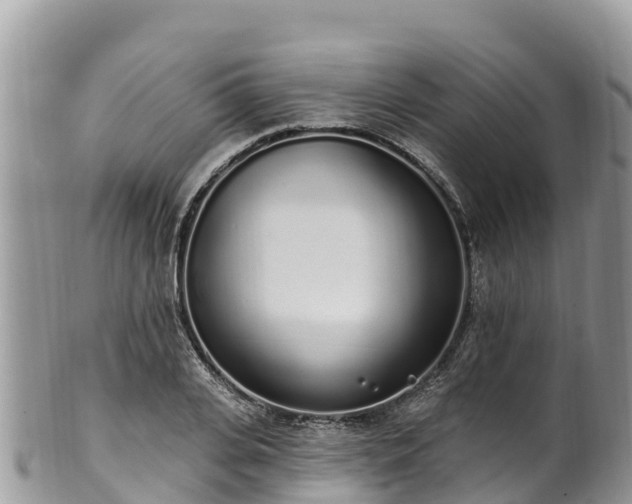 X0000102290935200808011510