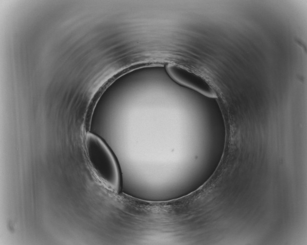 X0000102290936200808011510