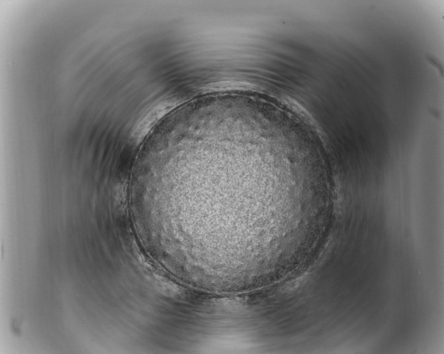 X0000102290937200808011510