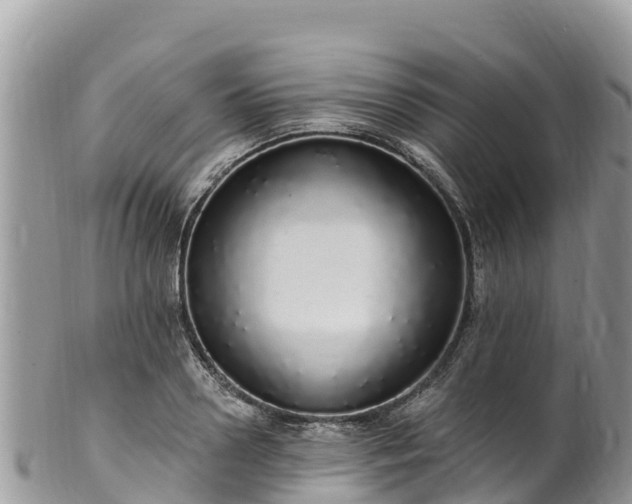 X0000102290938200808011510