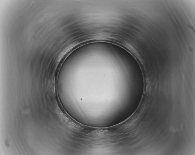 X0000102290939200808011510