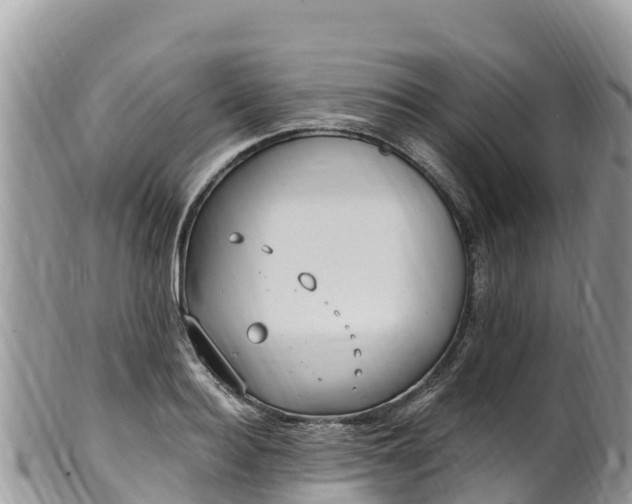 X0000102290940200808011510