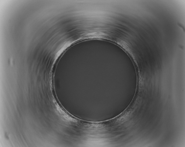 X0000102290941200808011510