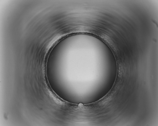 X0000102290942200808011510