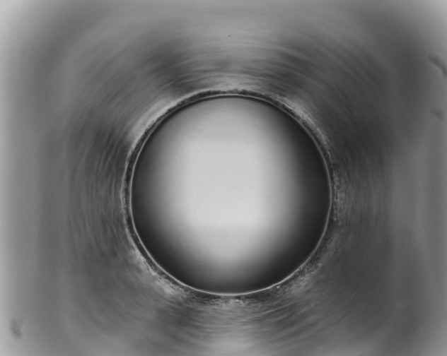 X0000102290943200808011510