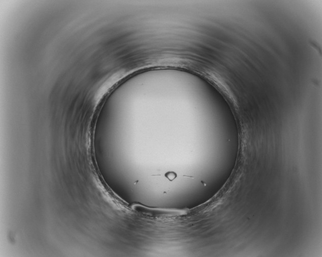 X0000102290944200808011510