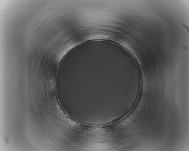 X0000102290945200808011510