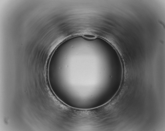 X0000102290949200808011510