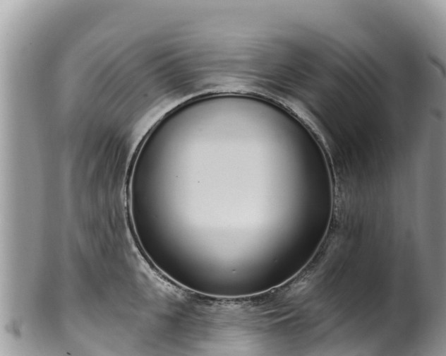 X0000102290951200808011510