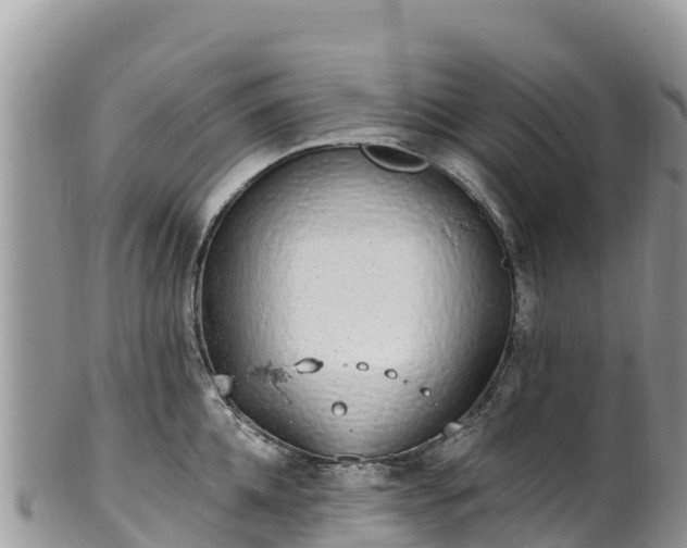 X0000102290952200808011510