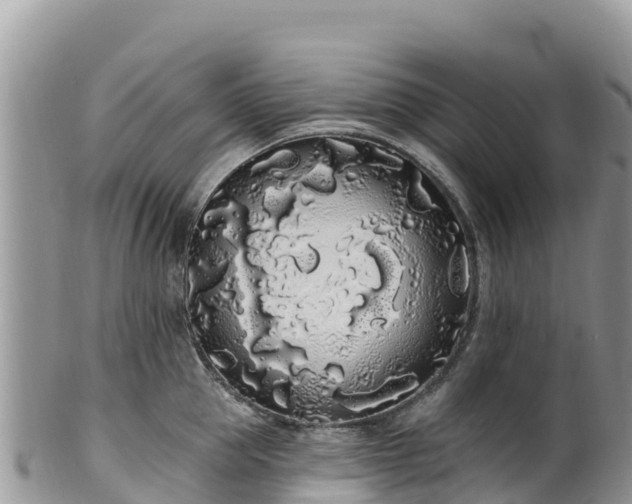 X0000102290953200808011510