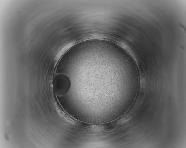 X0000102290954200808011510