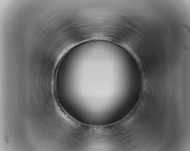 X0000102290955200808011510