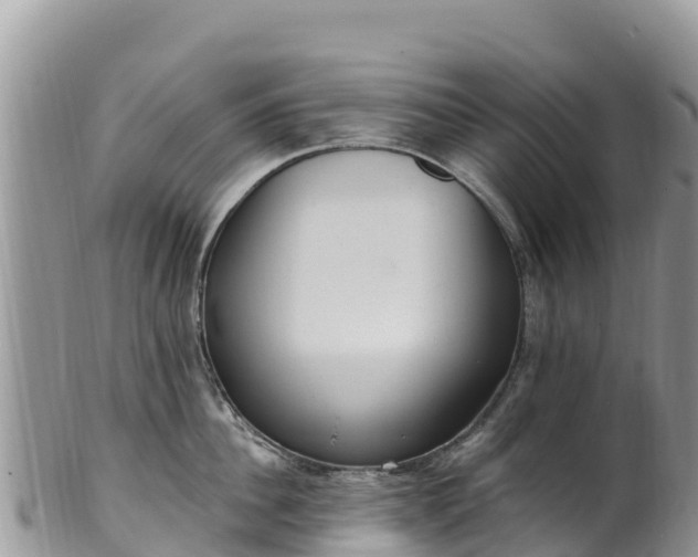 X0000102290956200808011510