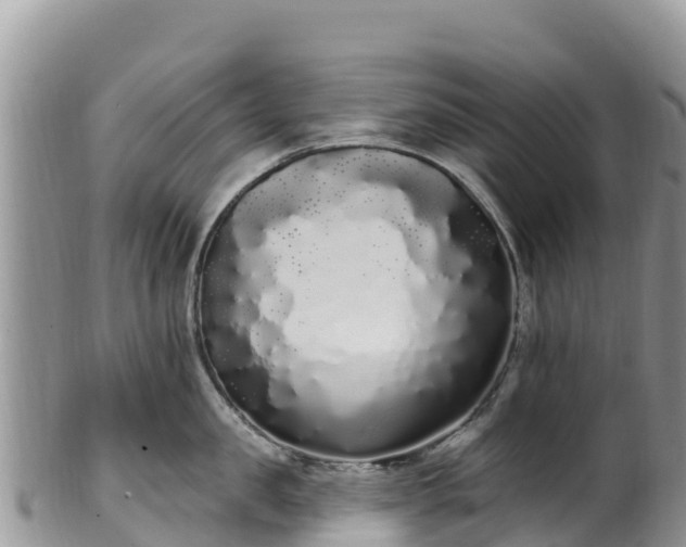 X0000102290957200808011510