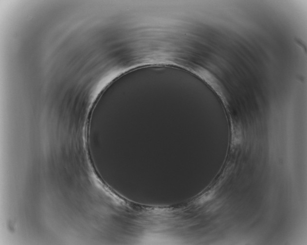 X0000102290958200808011510