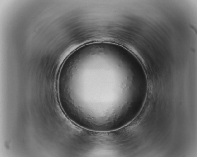 X0000102290959200808011510