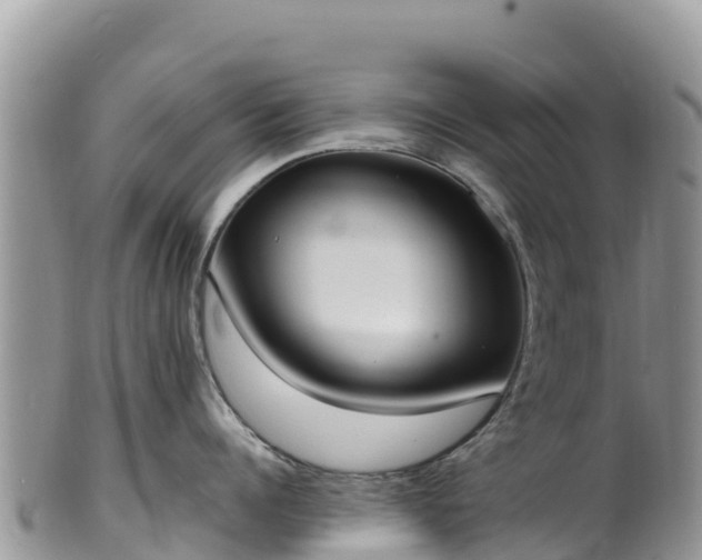 X0000102290960200808011510