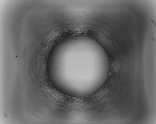 X0000102290961200808011509