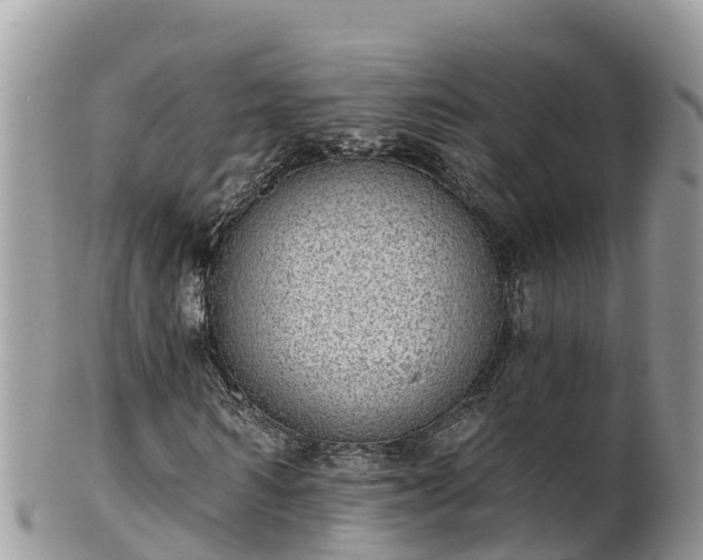 X0000102290962200808011509