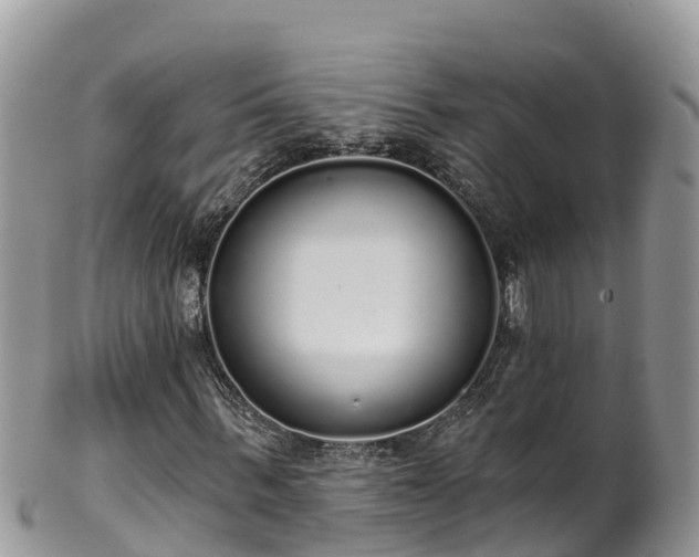 X0000102290963200808011509