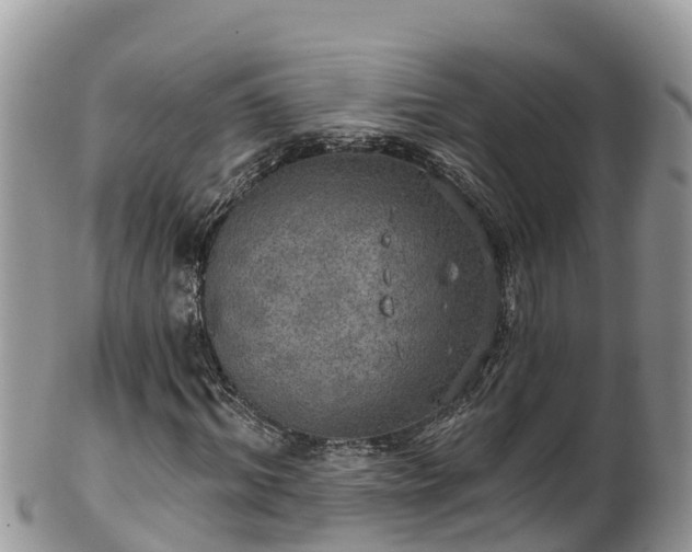 X0000102290964200808011509