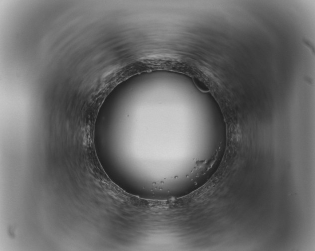 X0000102290965200808011509