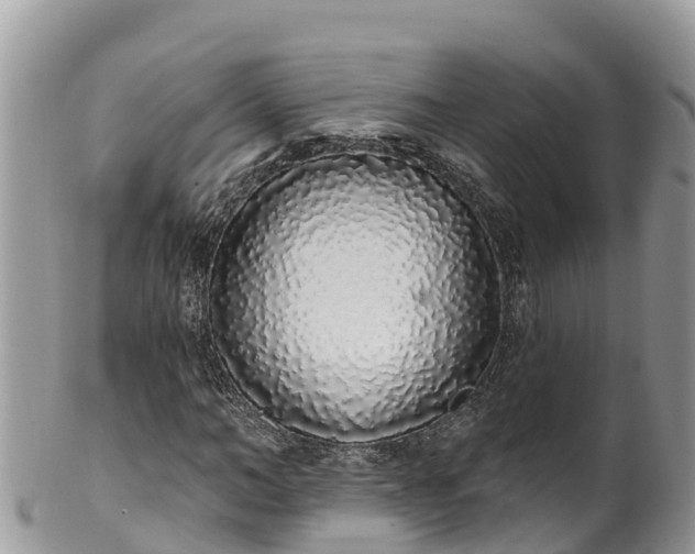 X0000102290966200808011509