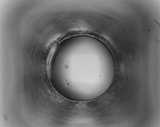 X0000102290967200808011509